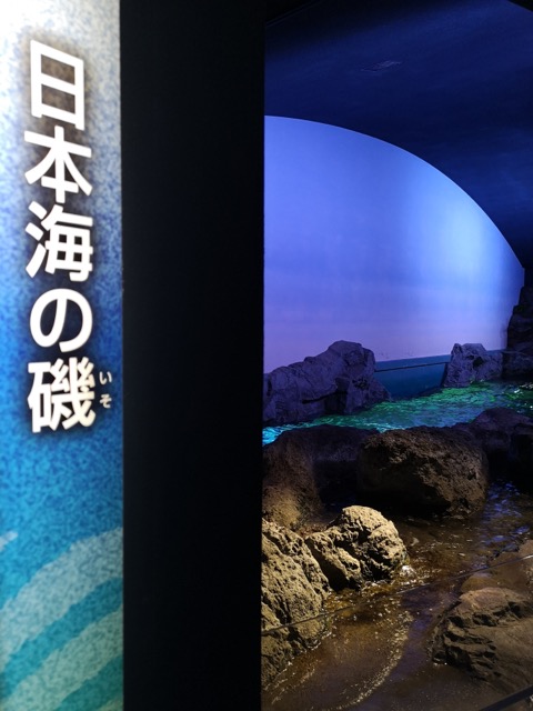 マリンピア日本海 水族館画像